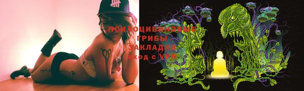 ГАЛЛЮЦИНОГЕННЫЕ ГРИБЫ Алексин