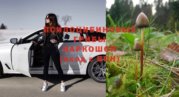 mdpv Алзамай