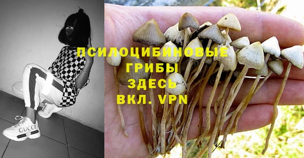 синтетический гашиш Алексеевка