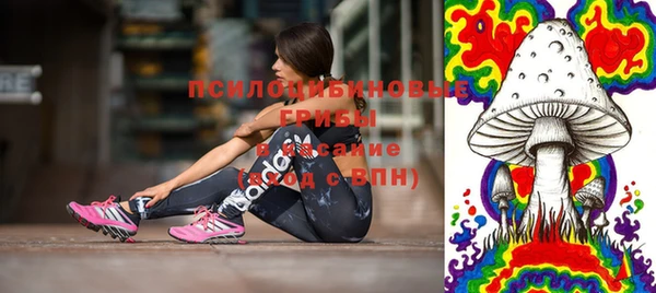 синтетический гашиш Алексеевка