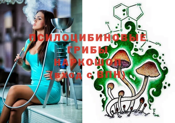 mdpv Алзамай