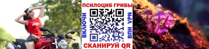 Псилоцибиновые грибы мицелий  где купить   Йошкар-Ола 